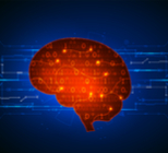 בדיקת יציבות - תמונת אווירה